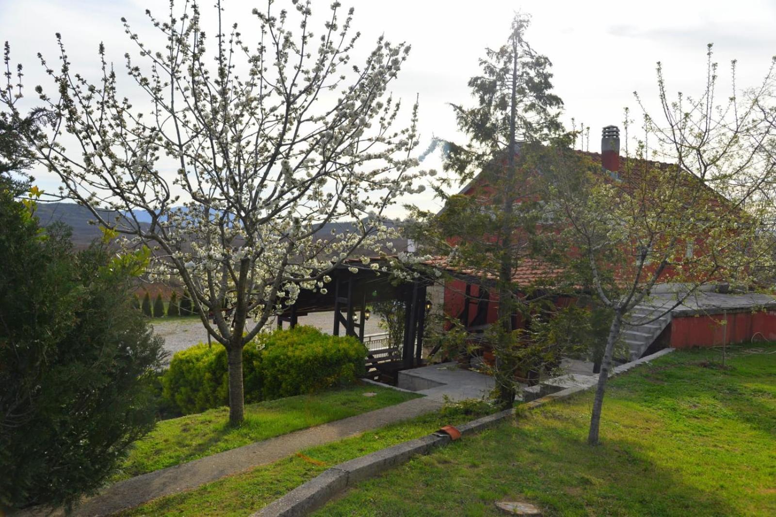 Appartement Seosko Domacinstvo Starevina à Nikšić Extérieur photo