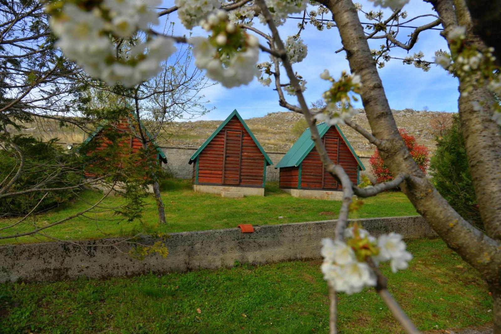 Appartement Seosko Domacinstvo Starevina à Nikšić Extérieur photo