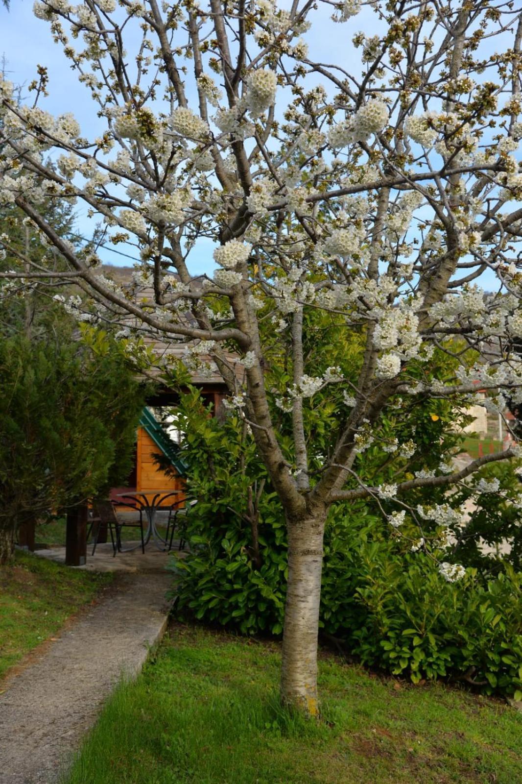 Appartement Seosko Domacinstvo Starevina à Nikšić Extérieur photo