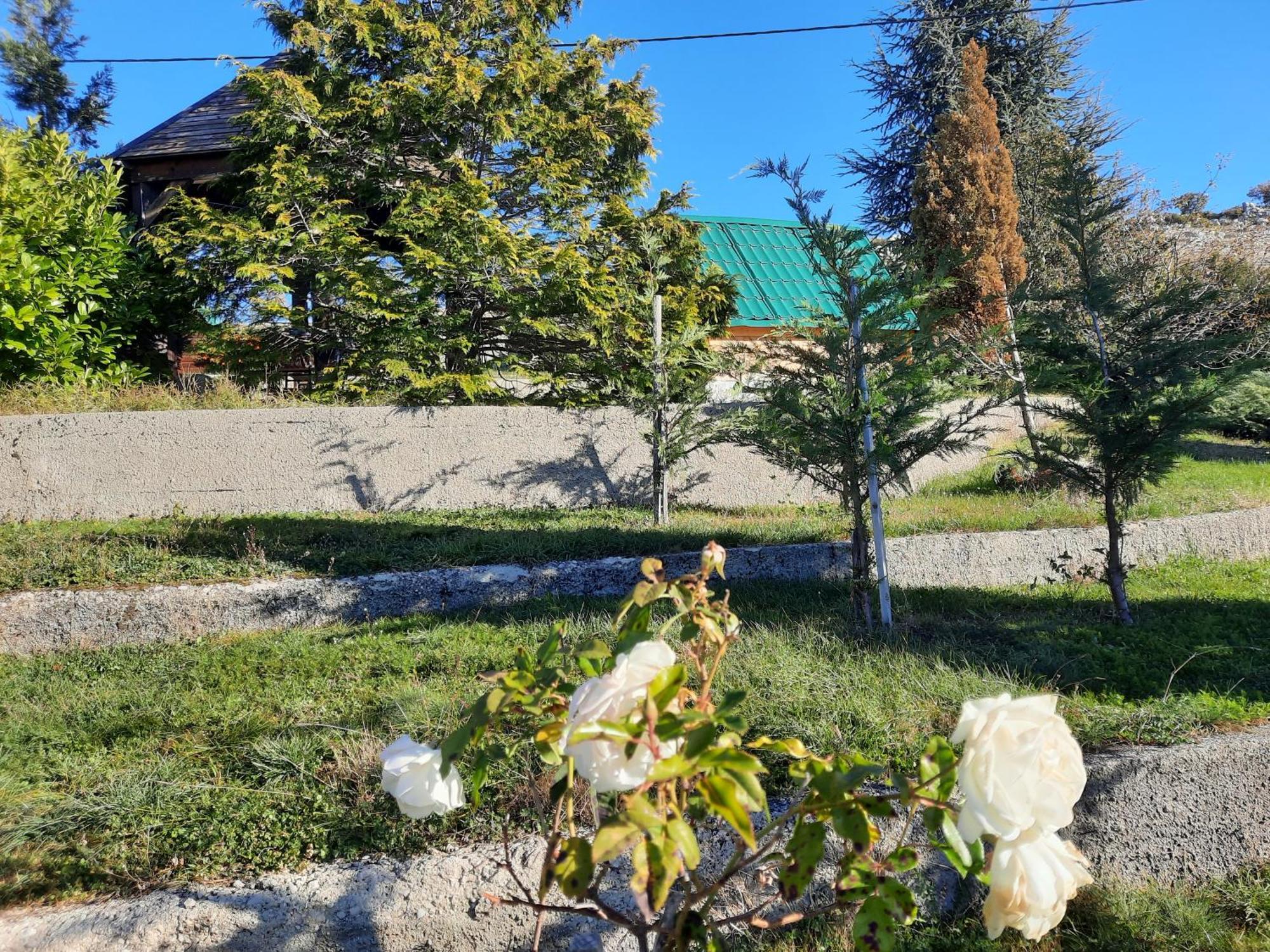 Appartement Seosko Domacinstvo Starevina à Nikšić Extérieur photo