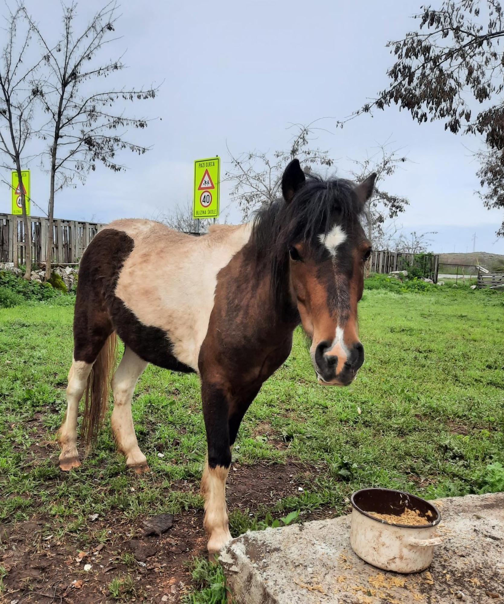 Appartement Seosko Domacinstvo Starevina à Nikšić Extérieur photo