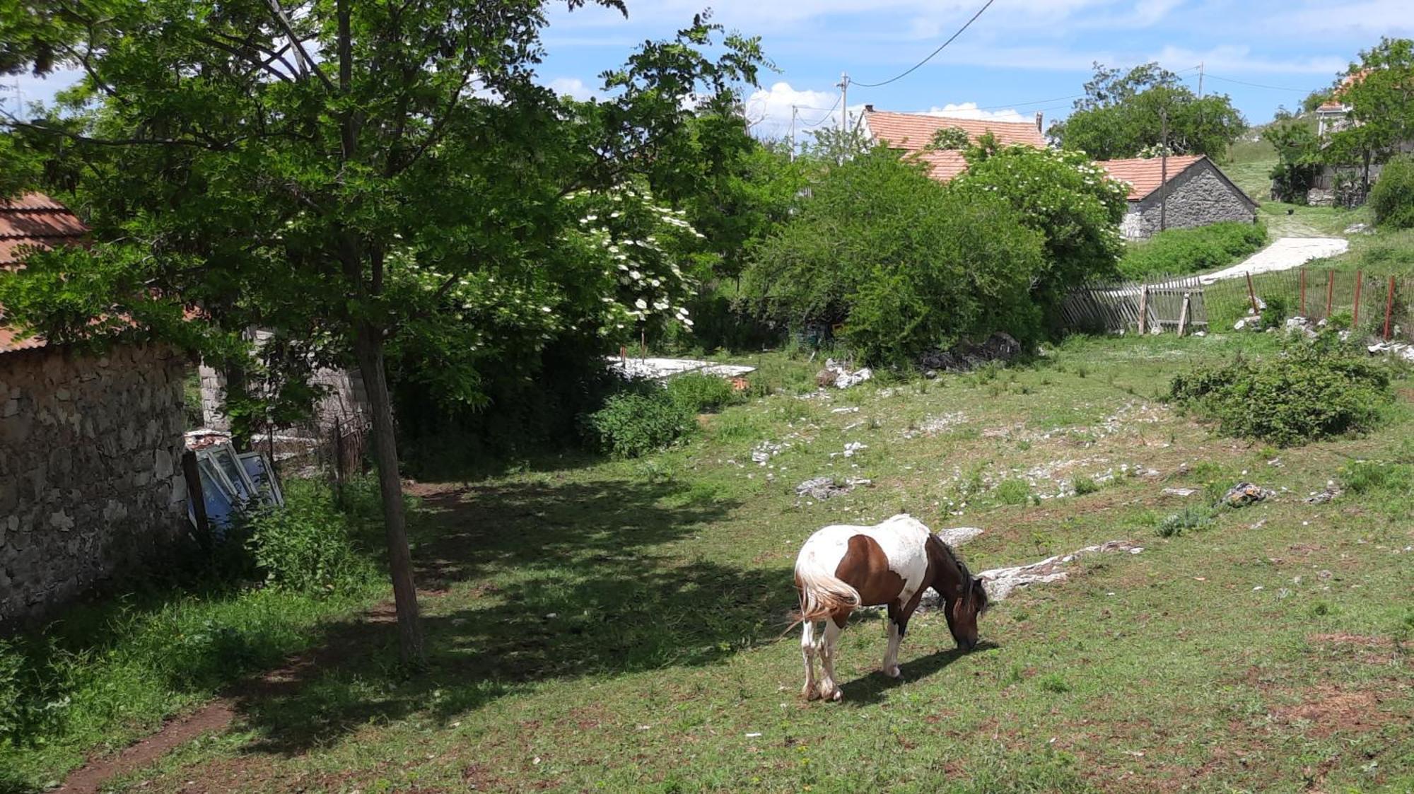 Appartement Seosko Domacinstvo Starevina à Nikšić Extérieur photo