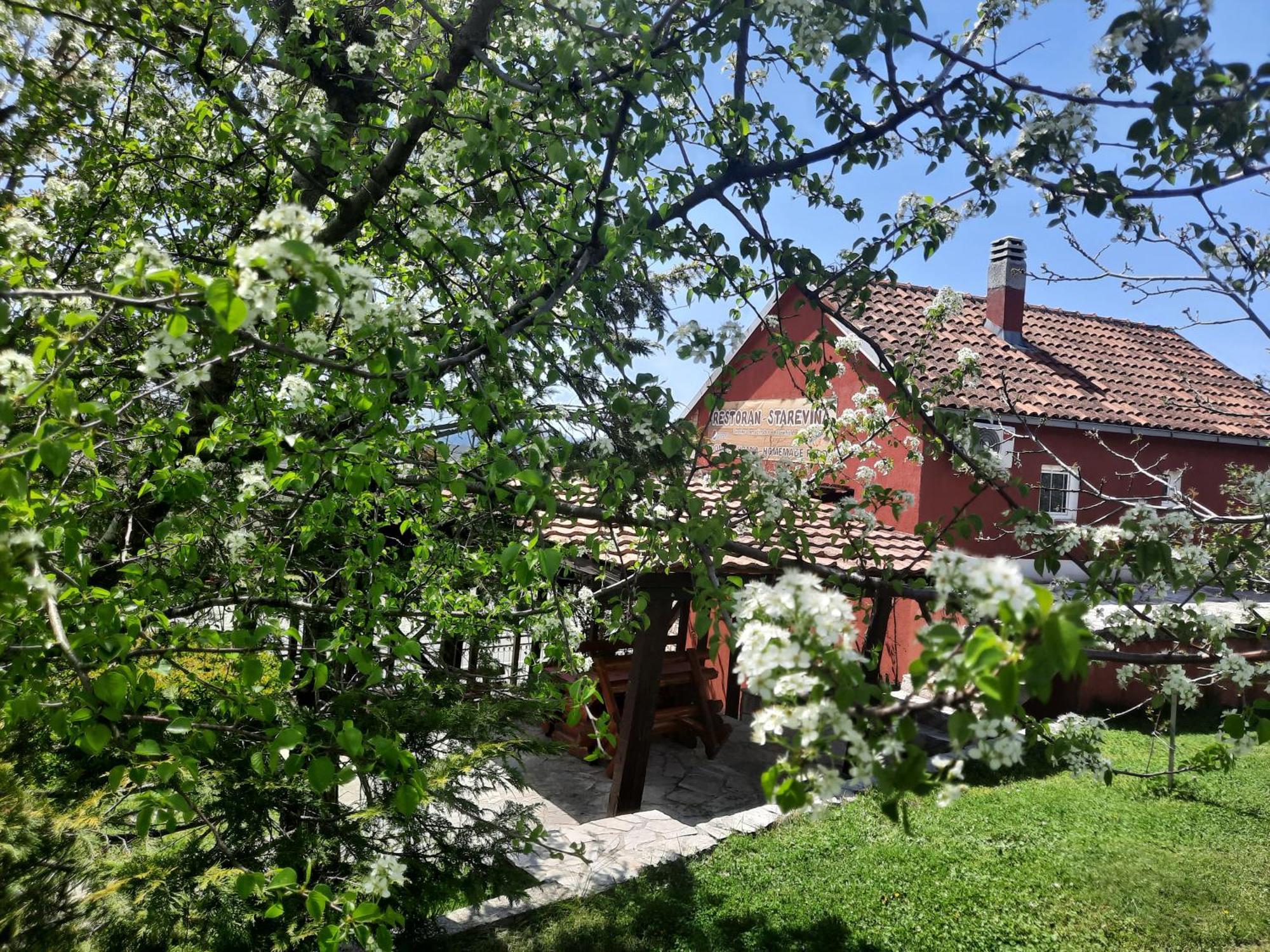 Appartement Seosko Domacinstvo Starevina à Nikšić Extérieur photo